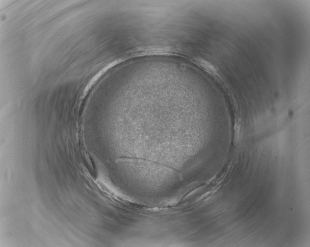 X0000056331212200509092320