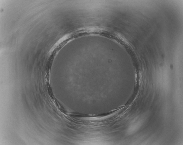 X0000056331213200509092320