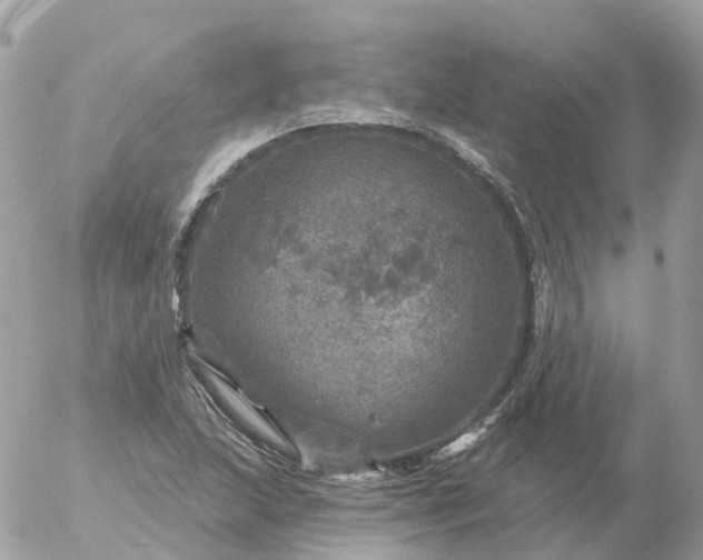 X0000056331215200509092320