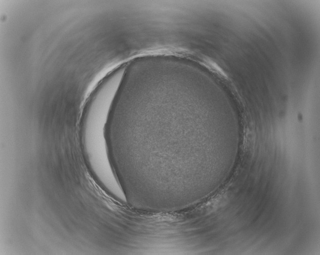 X0000056331216200509092320