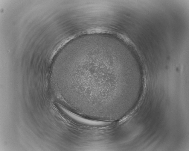 X0000056331217200509092320