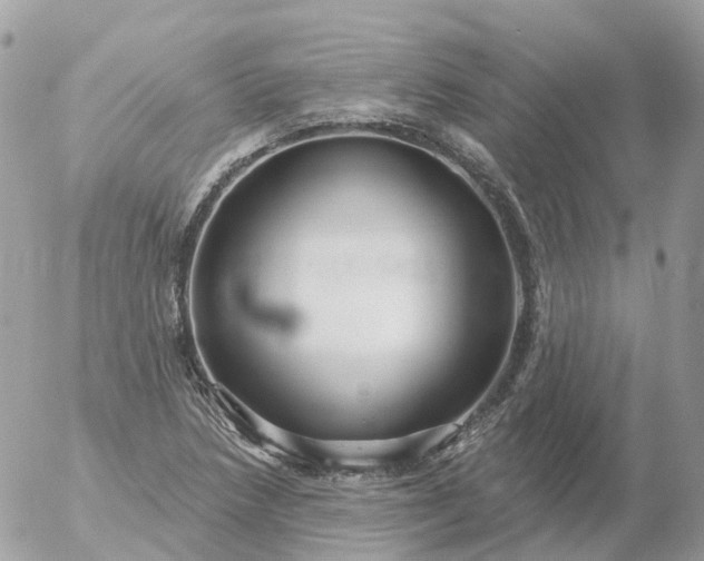 X0000056331218200509092320