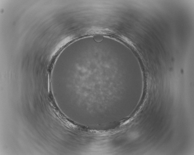 X0000056331219200509092320