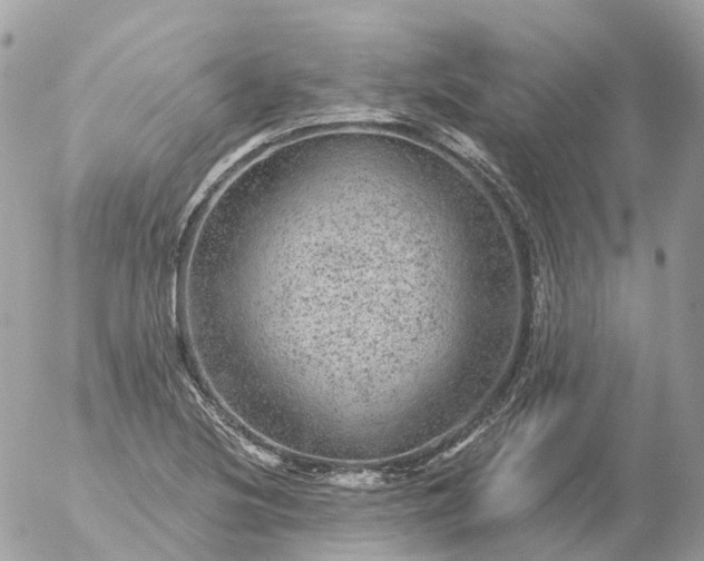 X0000056331220200509092320