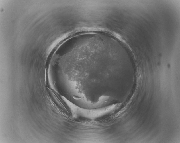 X0000056331221200509092320