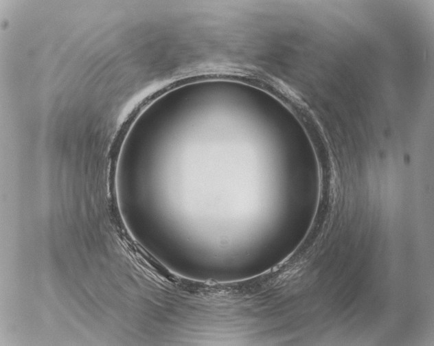 X0000056331222200509092320