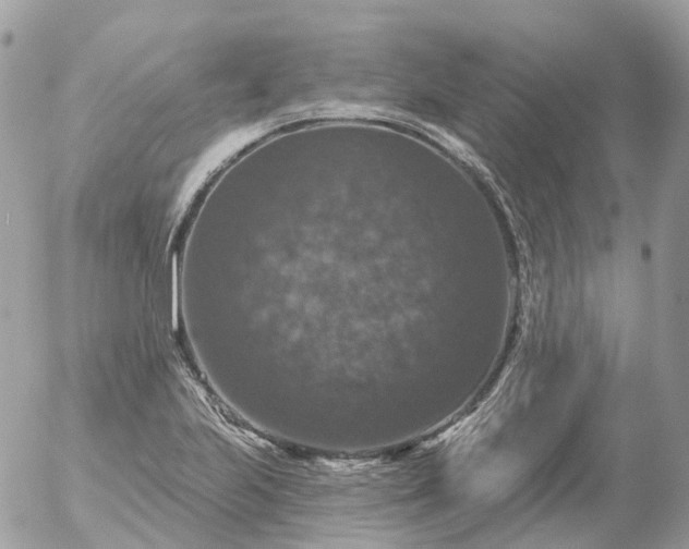 X0000056331223200509092320