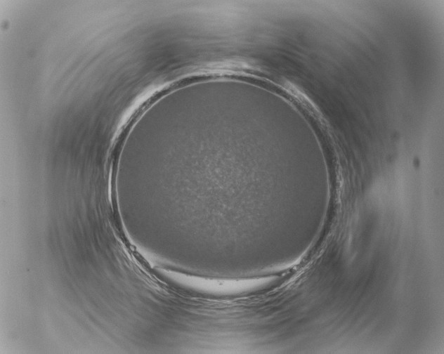 X0000056331224200509092320