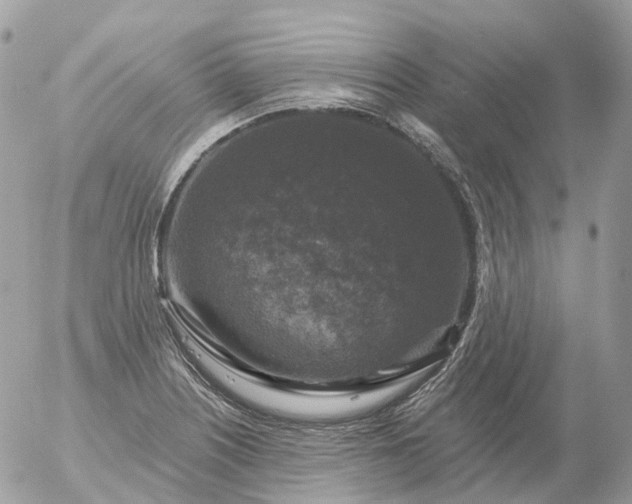 X0000056331226200509092320