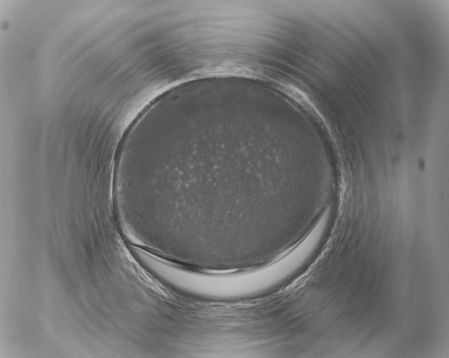 X0000056331228200509092320