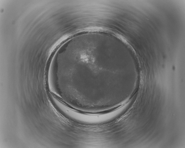 X0000056331229200509092320