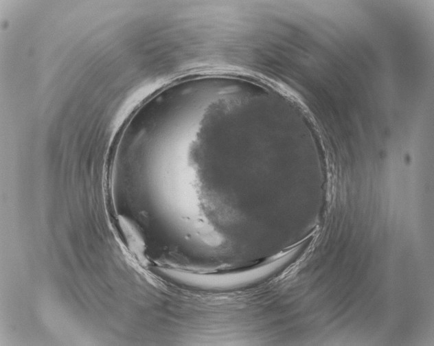 X0000056331231200509092320