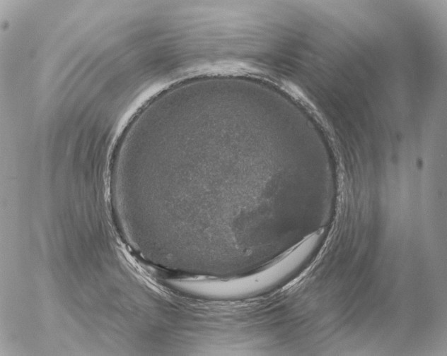 X0000056331232200509092320