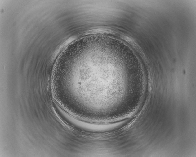 X0000056331233200509092320