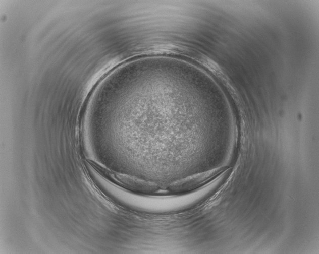 X0000056331234200509092320