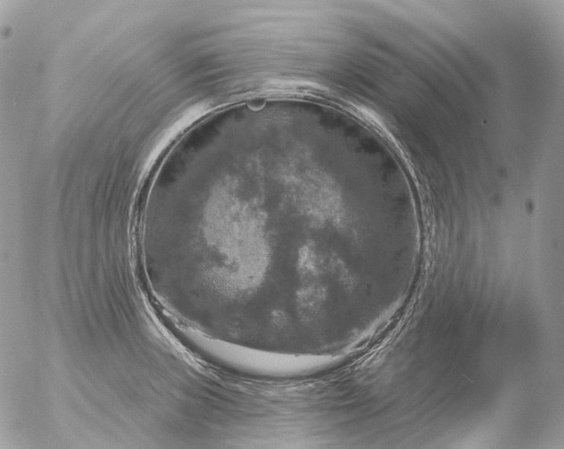 X0000056331235200509092320