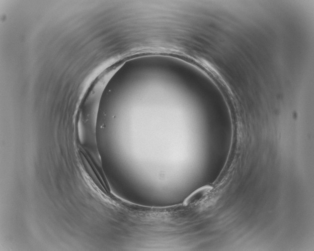 X0000056331238200509092320