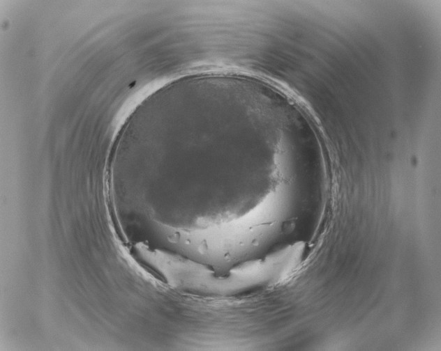 X0000056331239200509092320