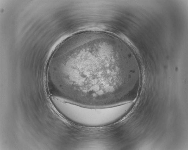 X0000056331240200509092320