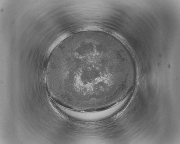 X0000056331241200509092320