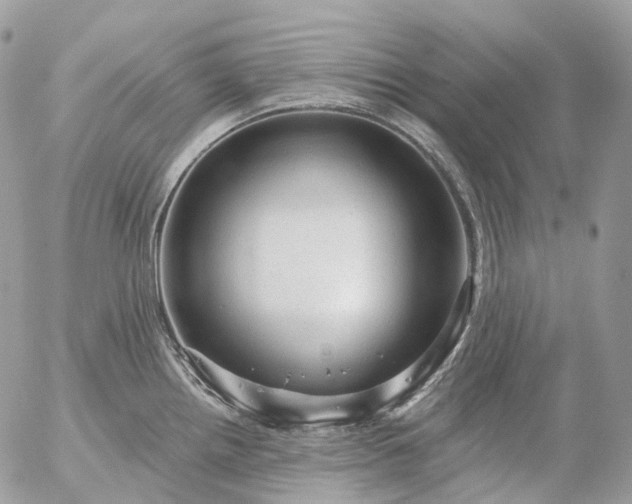 X0000056331242200509092320