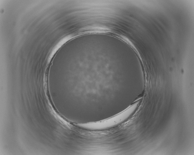 X0000056331243200509092320