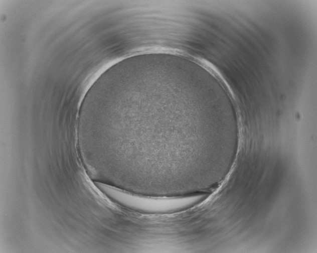 X0000056331244200509092320