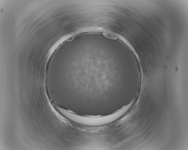 X0000056331245200509092320