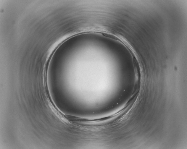 X0000056331246200509092320