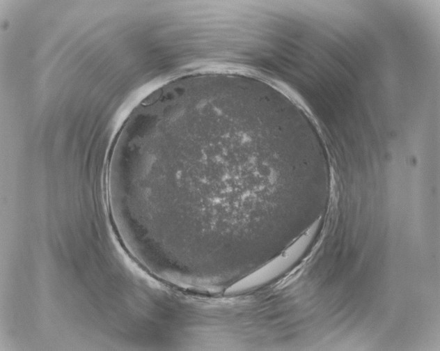 X0000056331247200509092320