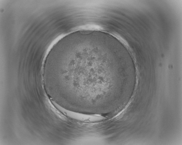 X0000056331248200509092320