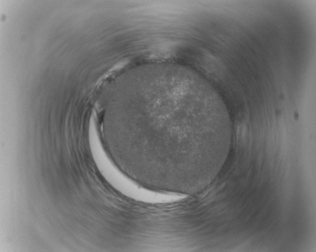 X0000056331250200509092319