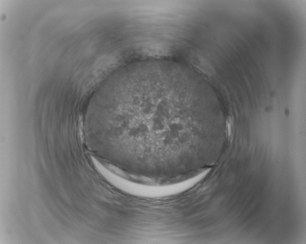 X0000056331251200509092319