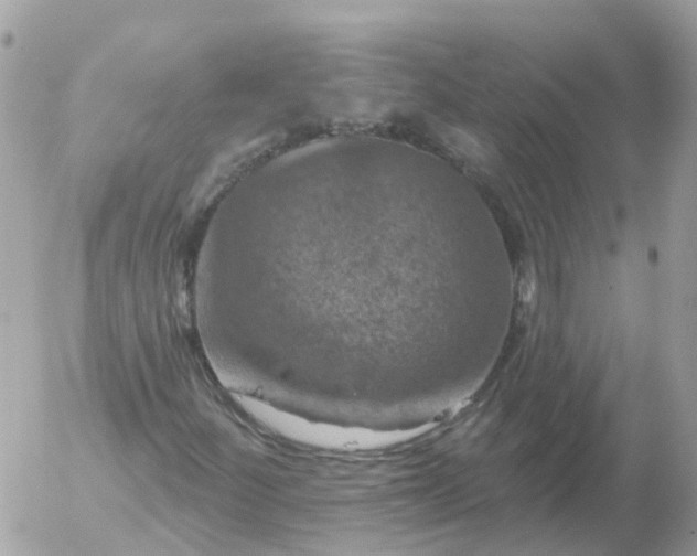 X0000056331252200509092319