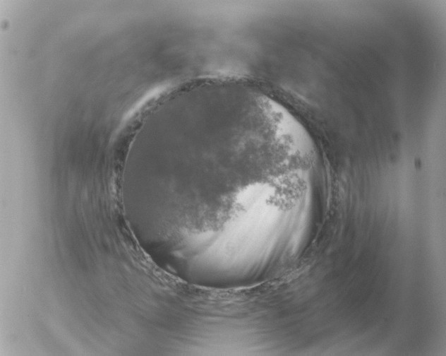 X0000056331254200509092319