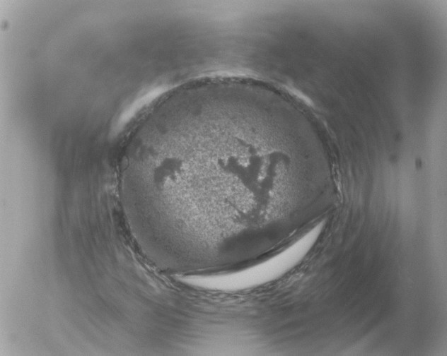 X0000056331255200509092319