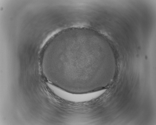 X0000056331256200509092319