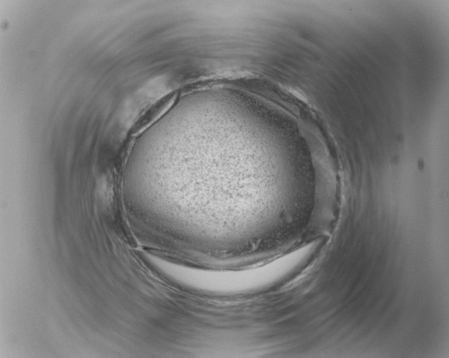 X0000056331257200509092319