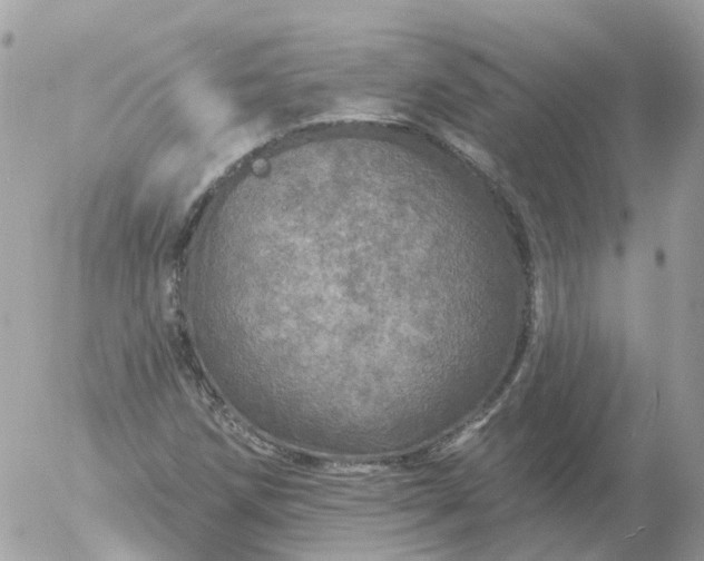 X0000056331258200509092319