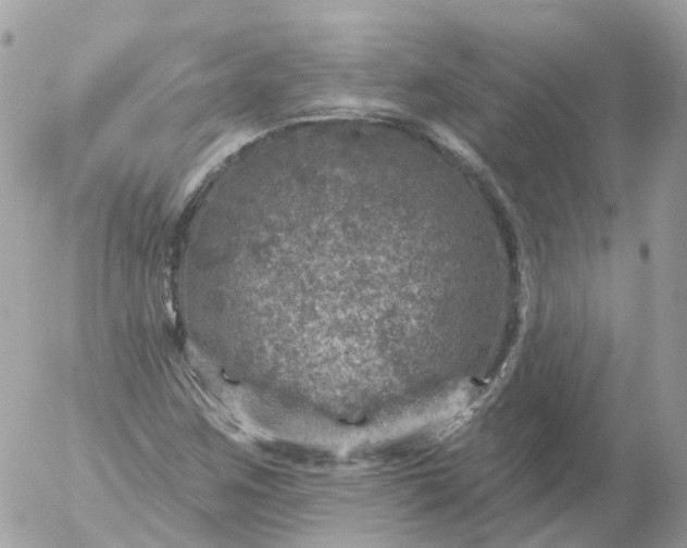 X0000056331259200509092319