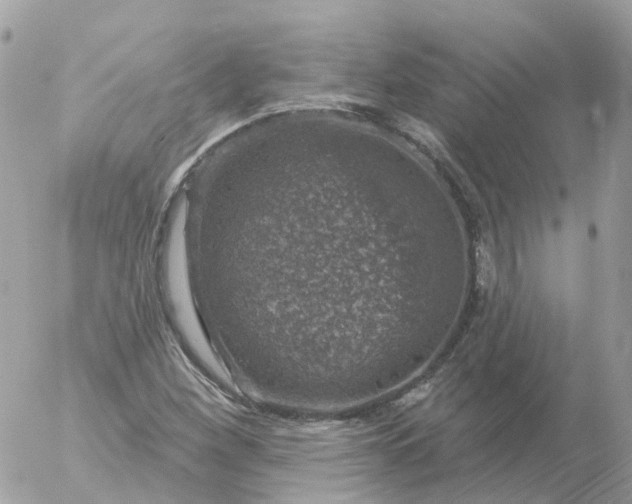 X0000056331260200509092319