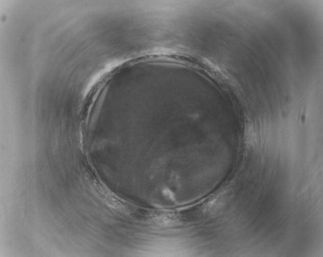 X0000056331262200509092319