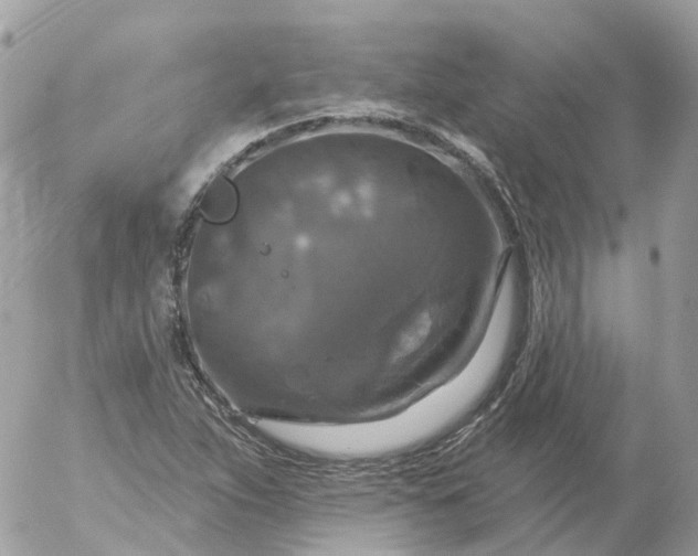 X0000056331263200509092319