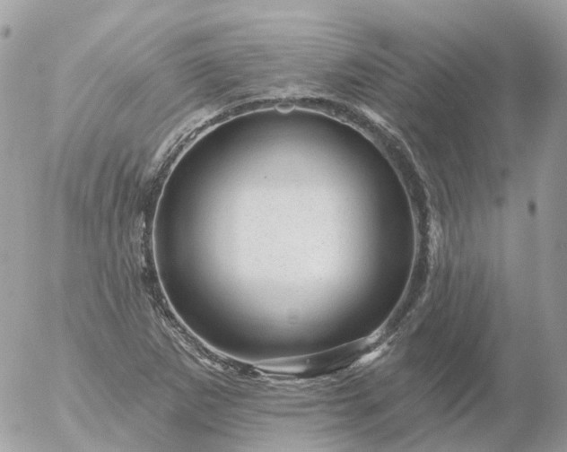 X0000056331265200509092319