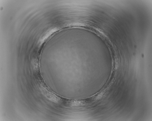 X0000056331266200509092319