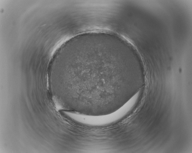 X0000056331267200509092319