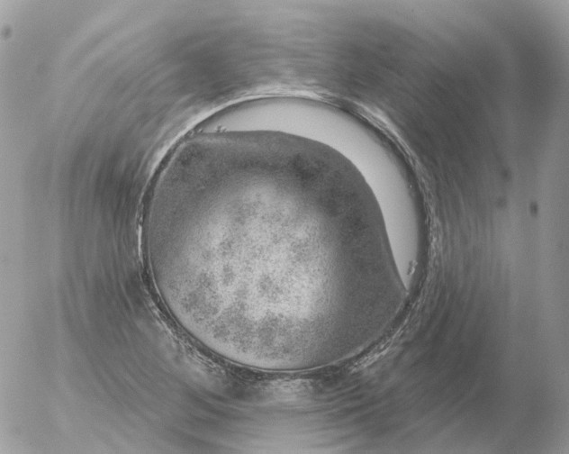 X0000056331268200509092319