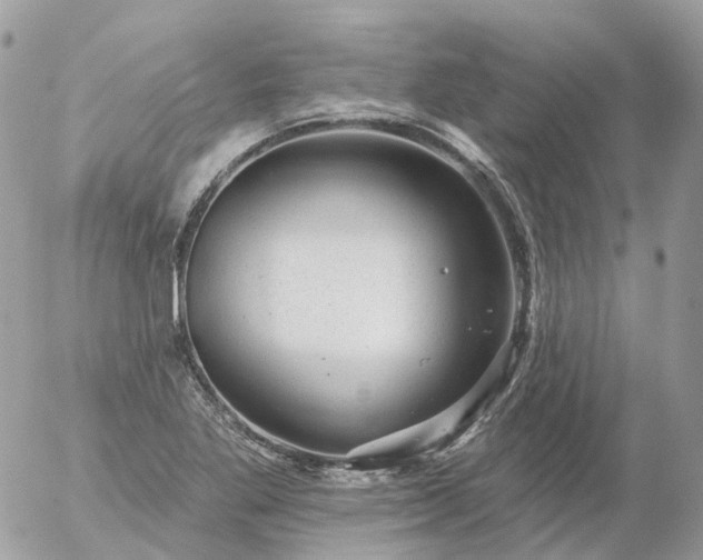 X0000056331269200509092319