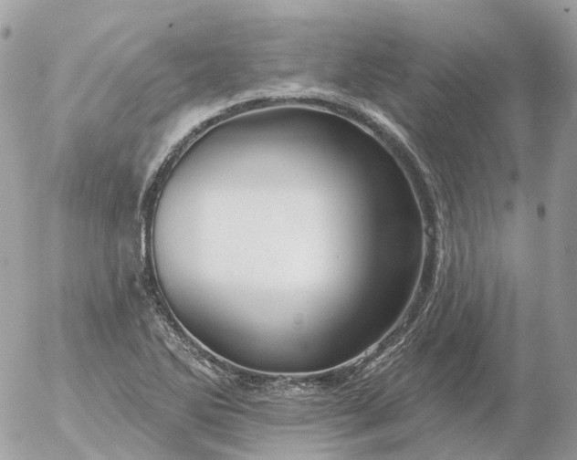 X0000056331270200509092319