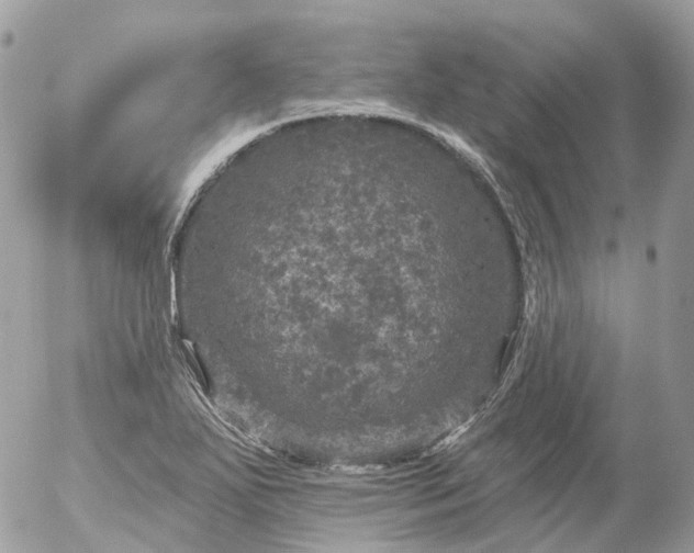 X0000056331271200509092319